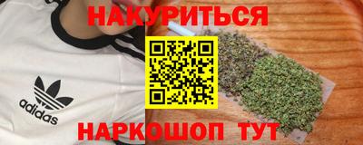 стаф Краснодар