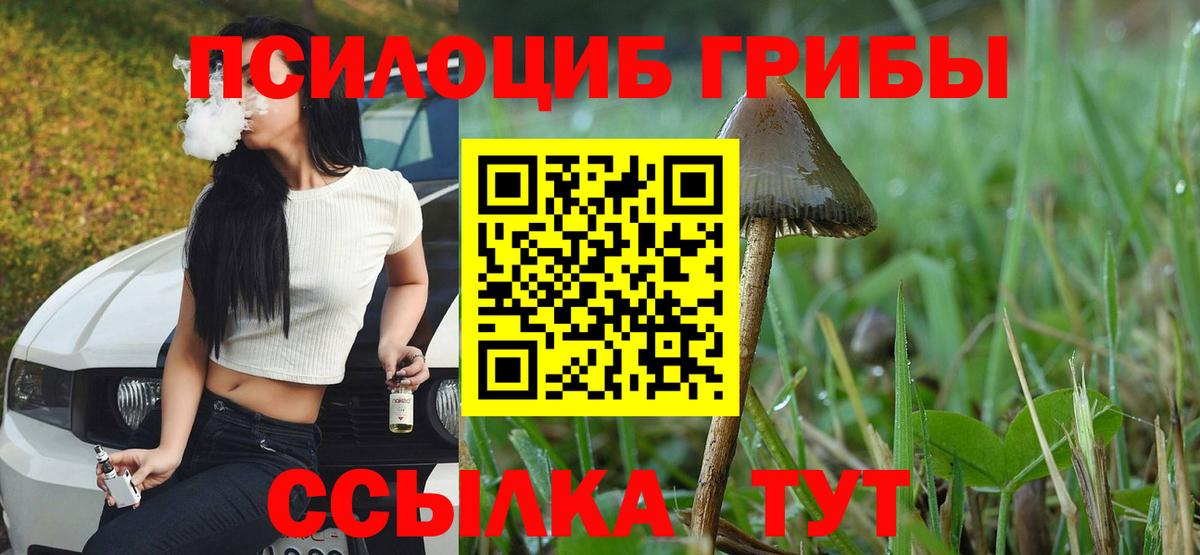 Галлюциногенные грибы ЛСД  Вход с VPN  Галлюциногенные грибы прущие грибы  Ипатово 