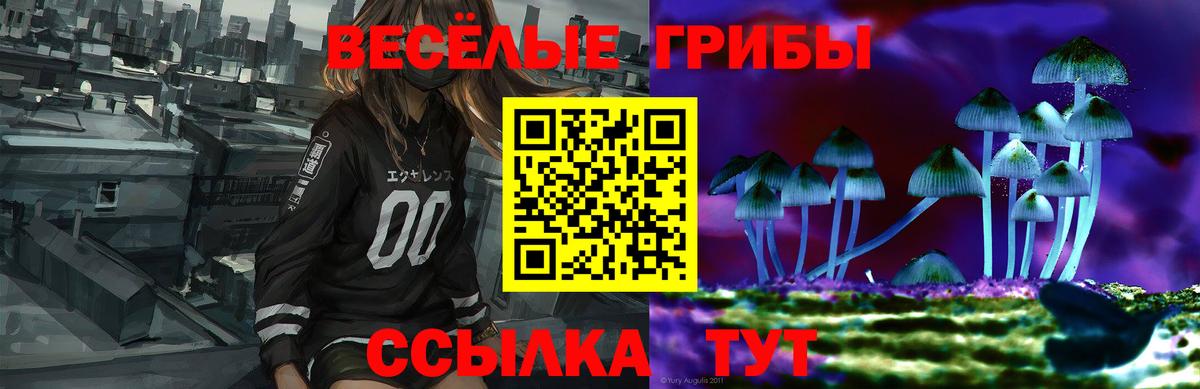 Псилоцибиновые грибы Psilocybe Ипатово